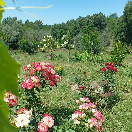 Casa Virginia Ouzenda