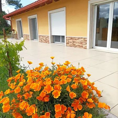 Apartmán Casa Virginia Ouzenda