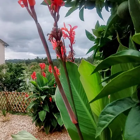 Apartmán Casa Virginia