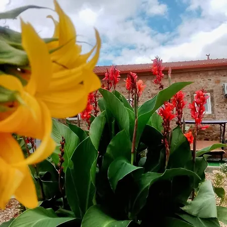 Casa Virginia * Ouzenda