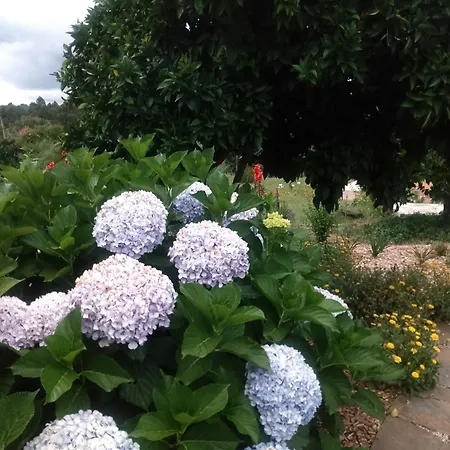 Casa Virginia Lägenhet