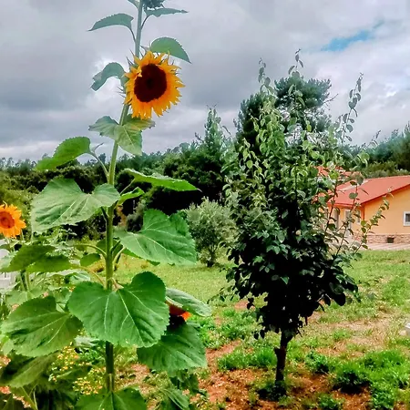 Casa Virginia Lägenhet