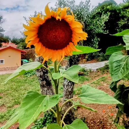 Casa Virginia Ouzenda