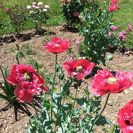 דירה Casa Virginia