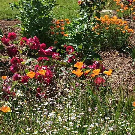 Casa Virginia Lägenhet