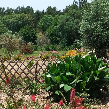 Lägenhet Casa Virginia