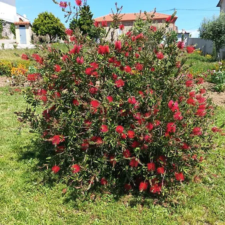 דירה Casa Virginia *