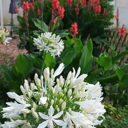 Lägenhet Casa Virginia *