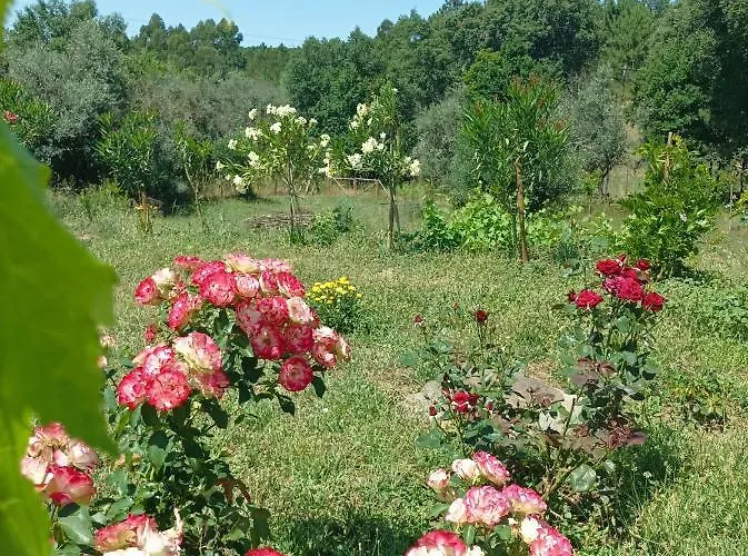 Casa Virginia Ouzenda