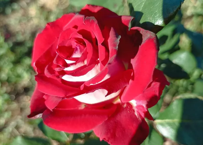 Casa Virginia Апартаменты Ouzenda