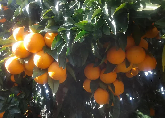 Casa Virginia * Ouzenda