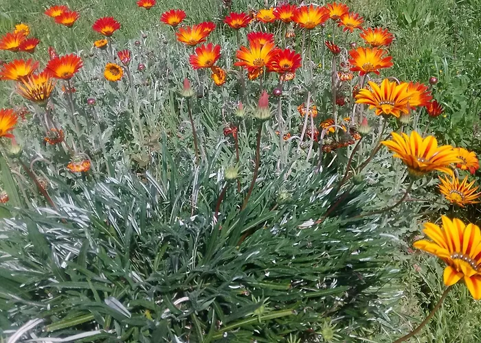 Апартаменты Casa Virginia Ouzenda