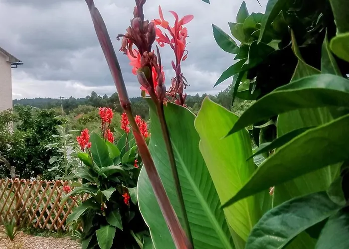 Апартаменты Casa Virginia