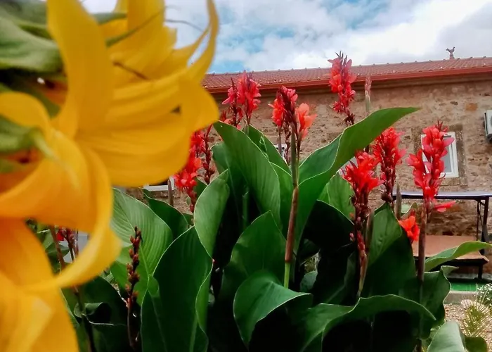 Casa Virginia * Ouzenda