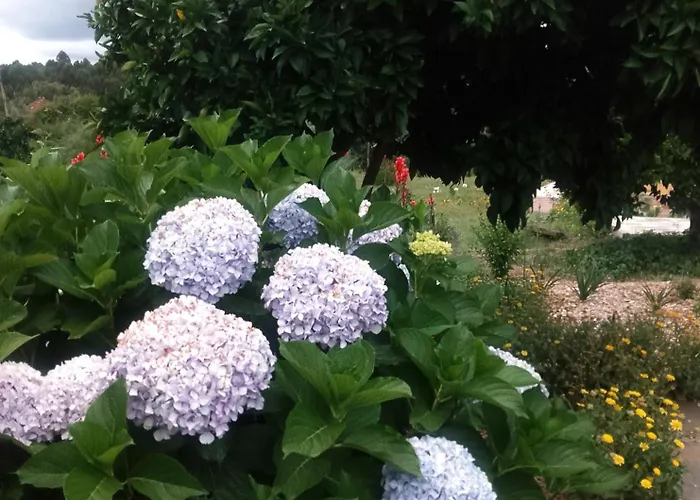 Casa Virginia Апартаменты