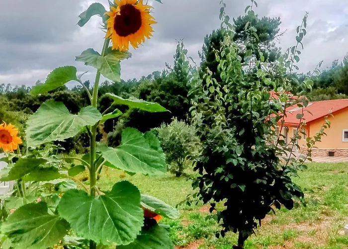 Casa Virginia Апартаменты