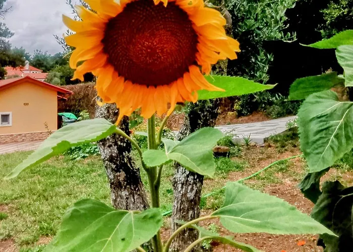 Casa Virginia Ouzenda