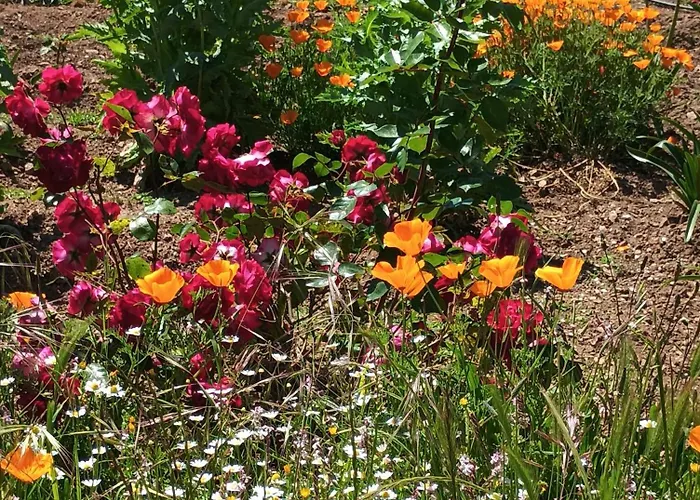 Casa Virginia Апартаменты