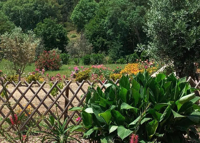 Апартаменты Casa Virginia