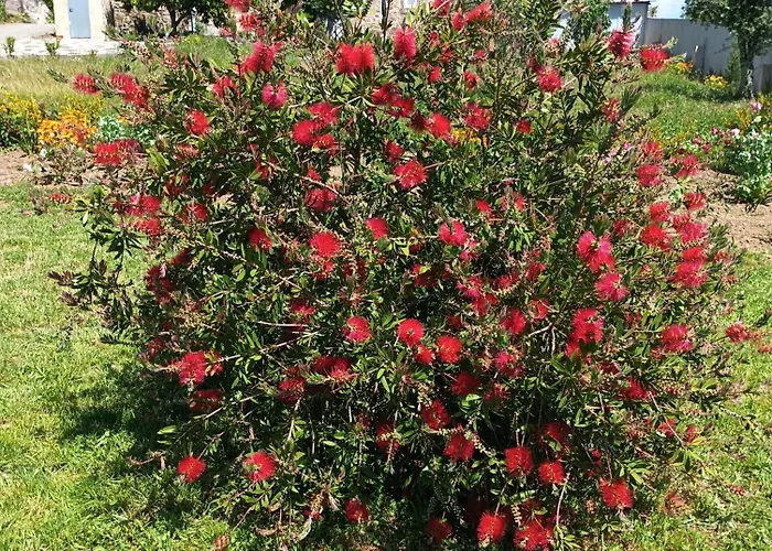 Апартаменты Casa Virginia *