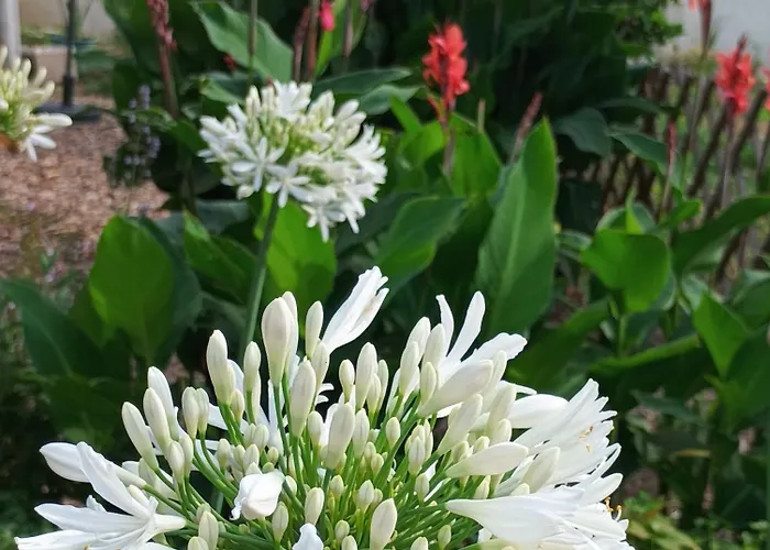 Апартаменты Casa Virginia *